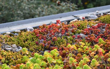 the cost of East Butterwick green roof installation