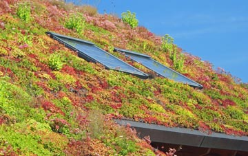 East Butterwick living roof systems