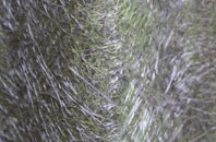 East Butterwick fibreglass roof work